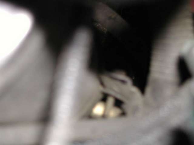 15286DSCN5810-med.JPG