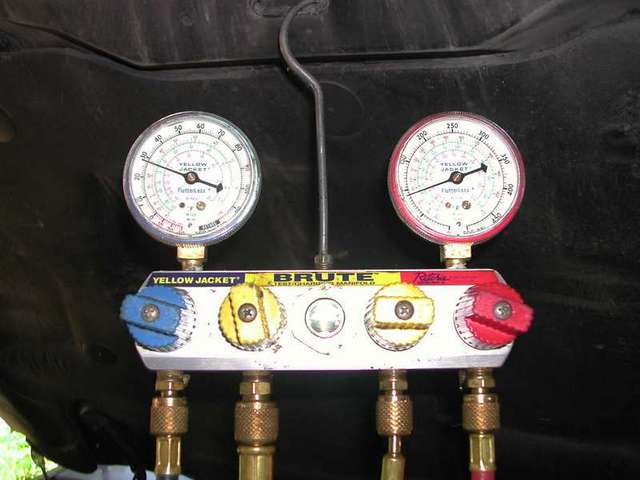 15286DSCN5834-med.JPG