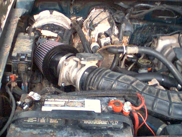 25390kkm.JPG