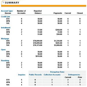 credit report - summary