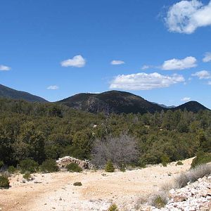 Carr Canyon AZ