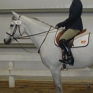 Gina at IHSA Nationals