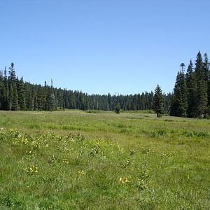 naches_pass_trail_16