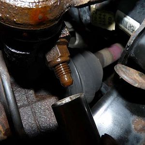 Rear Wheel Bearing Photos