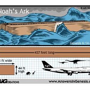 Noah's Ark Comparison