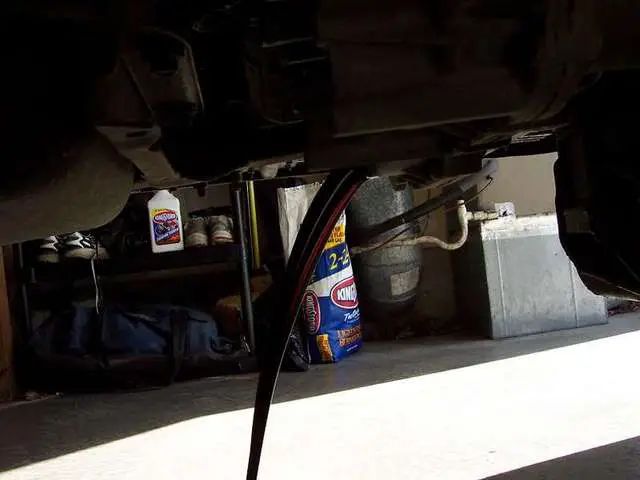 000_0709.jpg