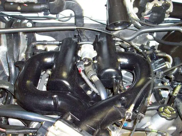 000_0775.jpg