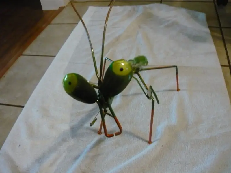 001.JPG