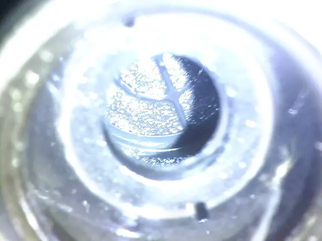 0108091715.jpg