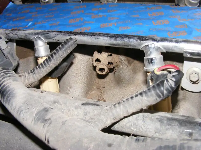 014_zps6ec60392.jpg