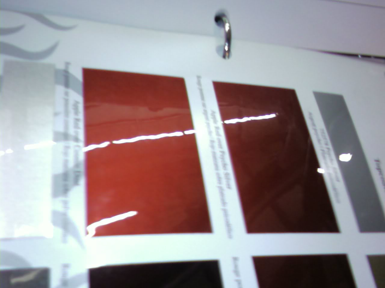 0212091811a.jpg