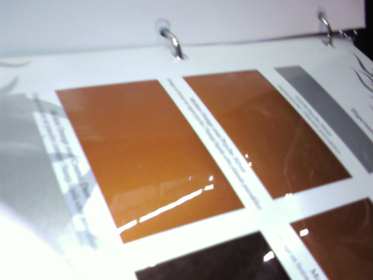 0212091812.jpg