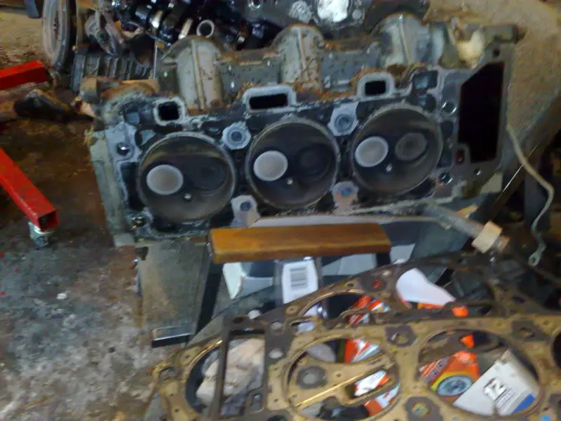 05032010250.jpg