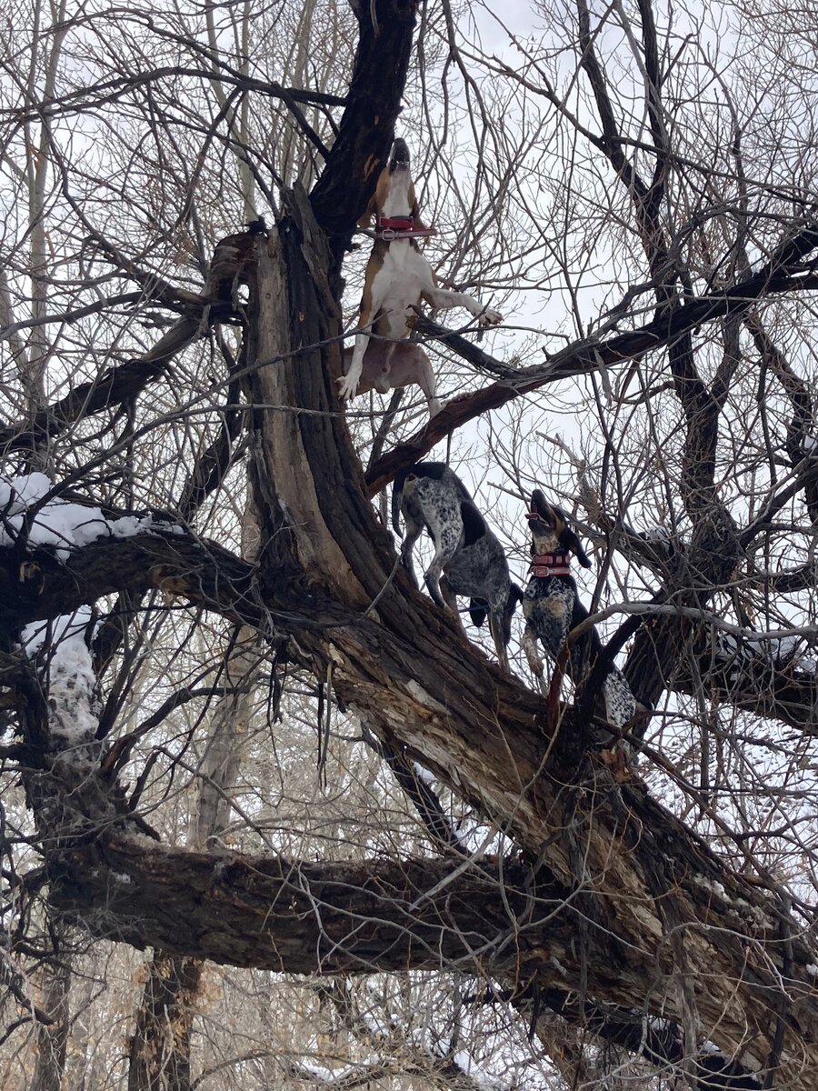0511DA78-6F7F-4FF1-B7AD-AB6971559C28.jpeg