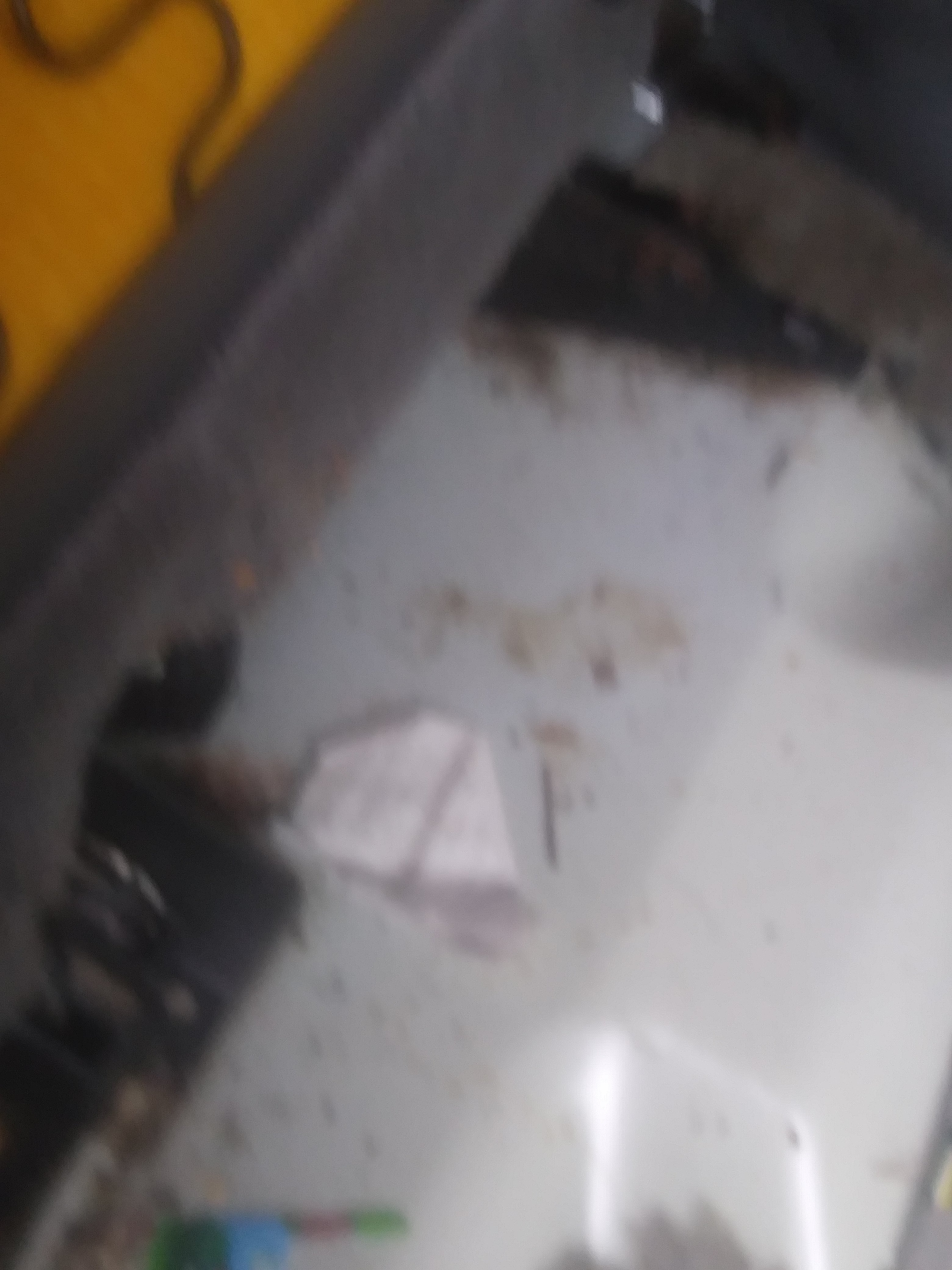 0526181824a.jpg