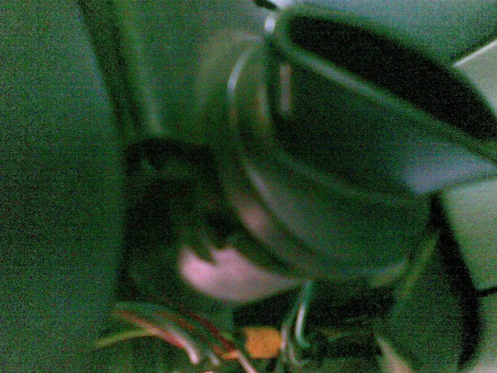 08022008001.jpg