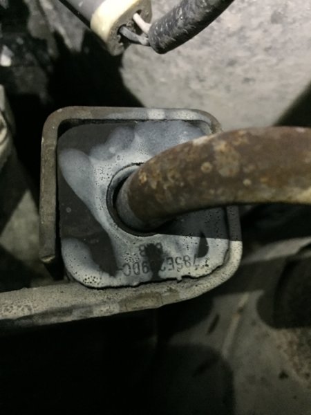 08F22277-EDC4-4886-96A6-3174DB49E082.jpeg