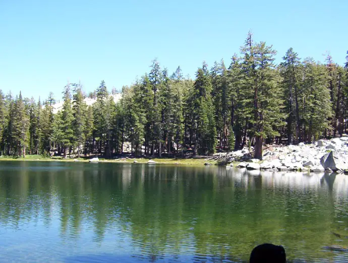 100_0127.jpg