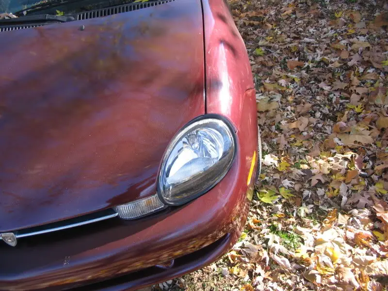 11-5-09009.jpg