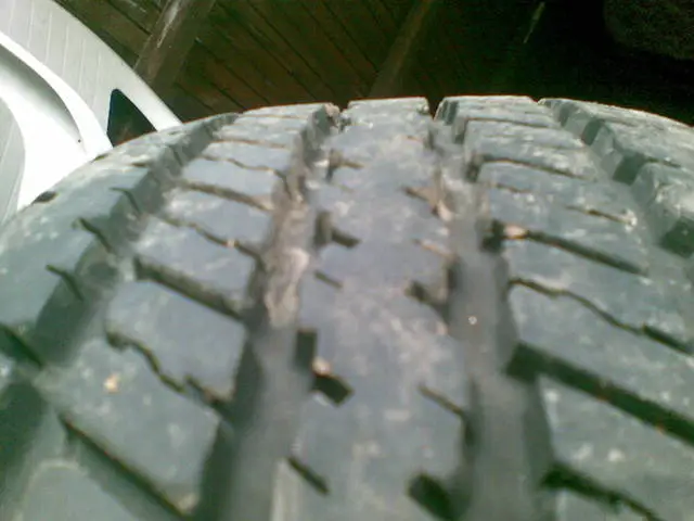 11032009002.jpg