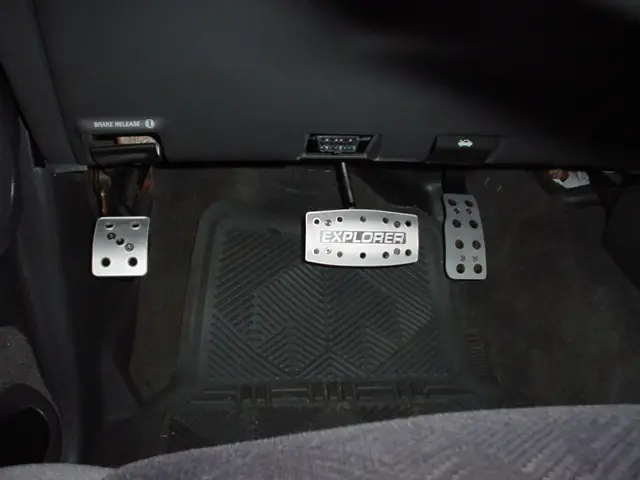 11175DSC01541.jpg