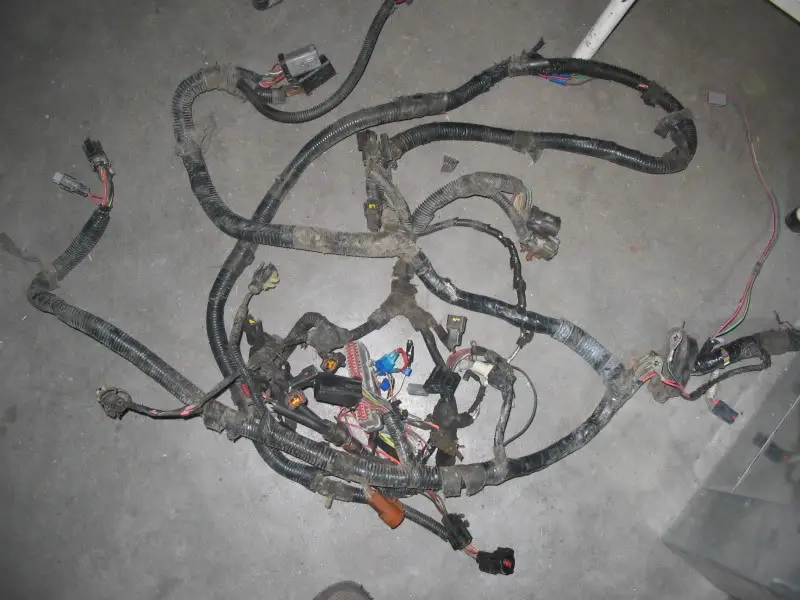 12-18-09007.jpg