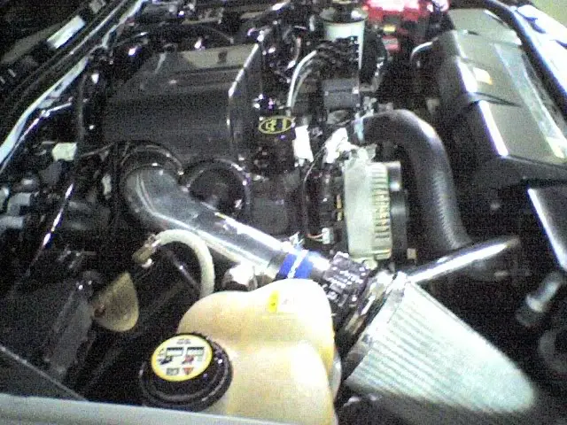 1215072205c.jpg