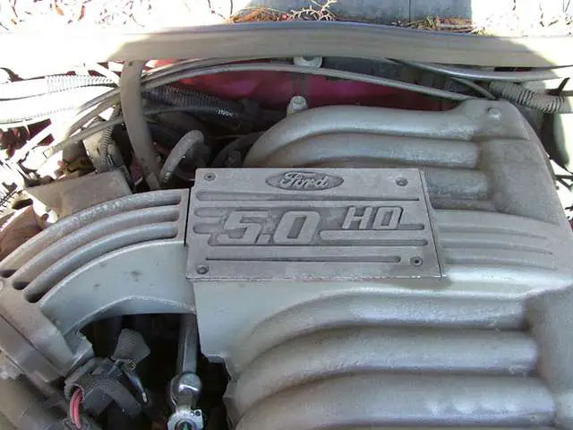 12287T-Bird.jpg