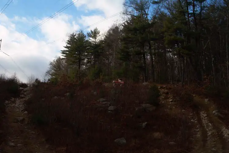 13422fred_up_the_hill2.jpg