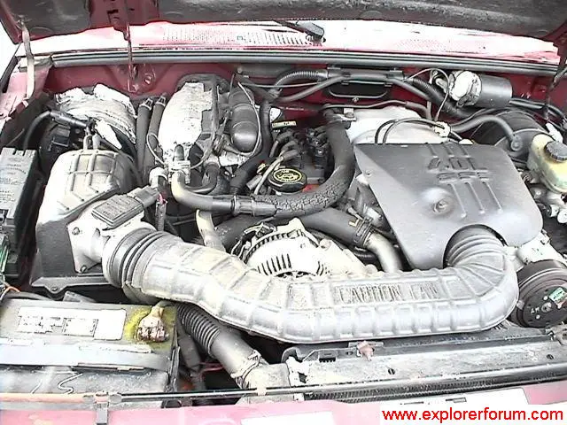 14852stkfr.jpg