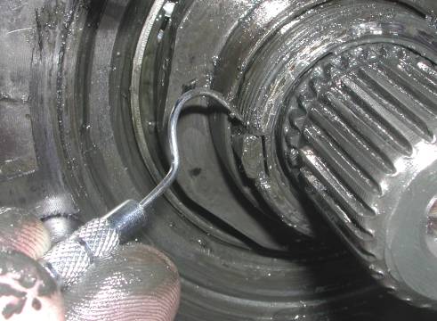 15286DSCN5387.jpg