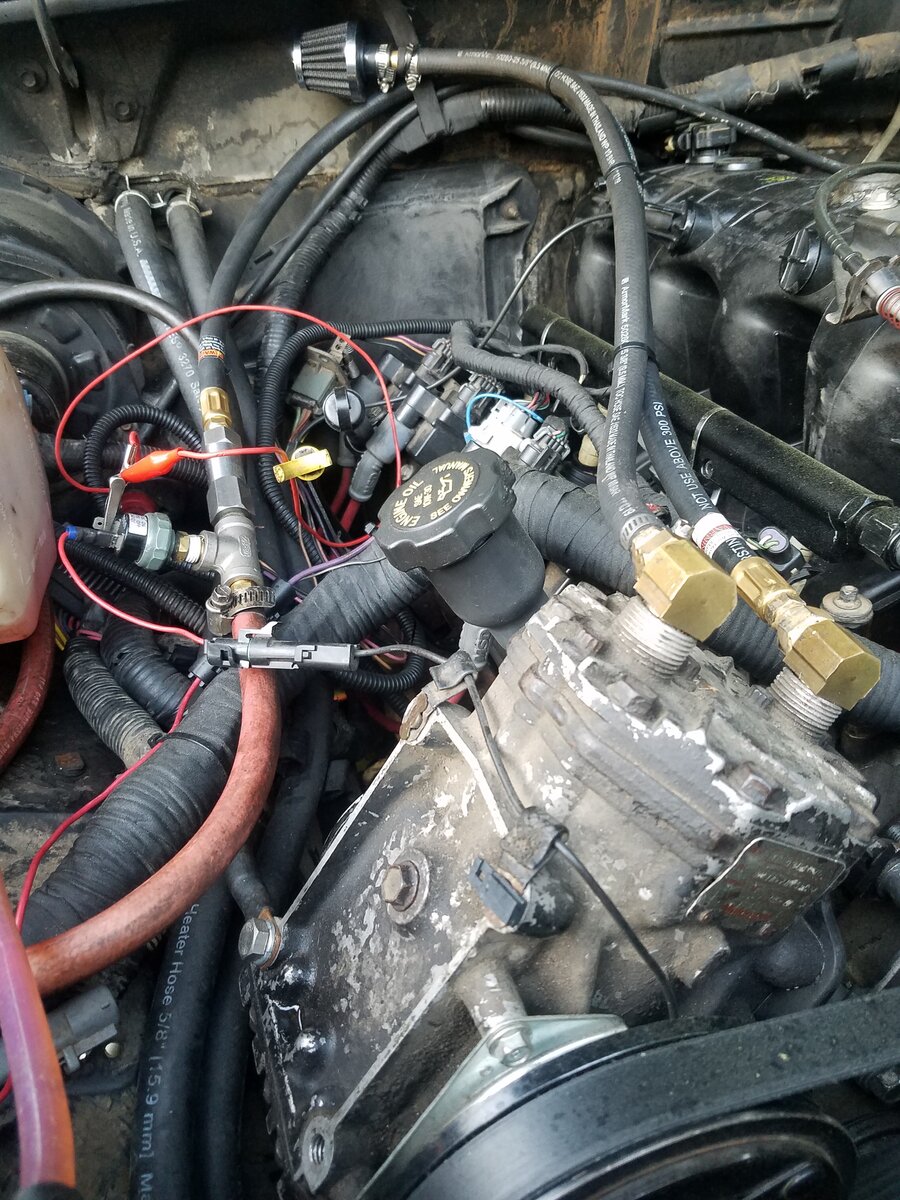 16200423360154386302131768359256.jpg