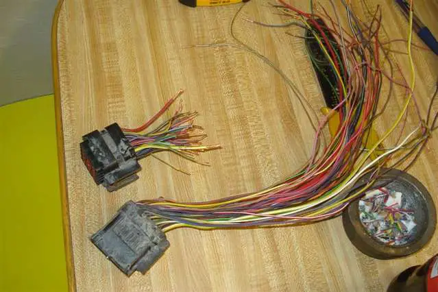 170.jpg