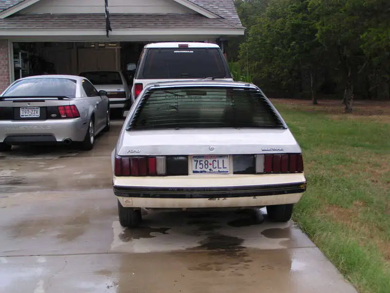1982info.jpg