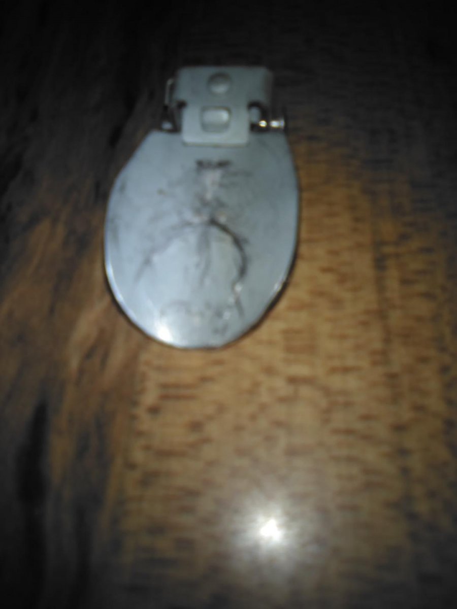 1997 ex white fill neck flapper.jpg