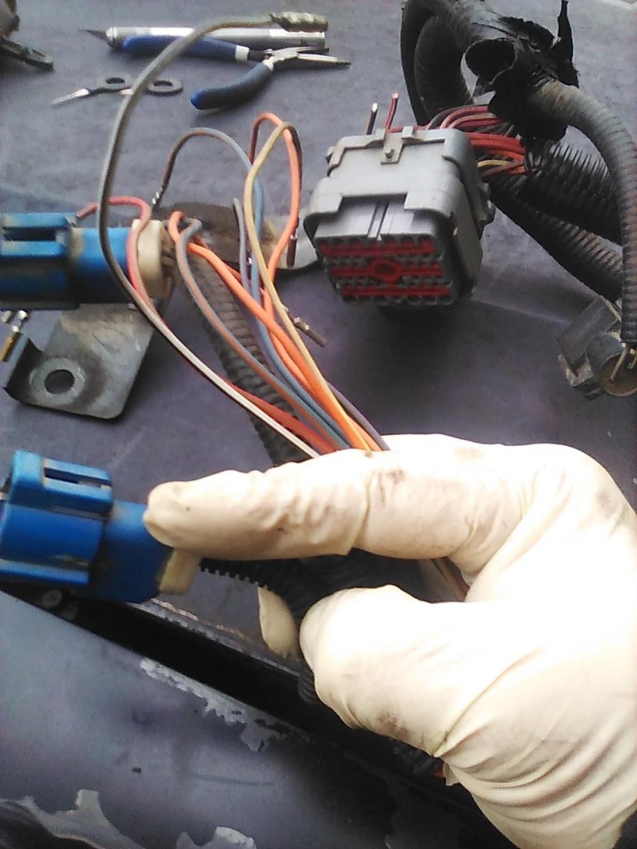 1997mm rear o2 sensors delete.jpg