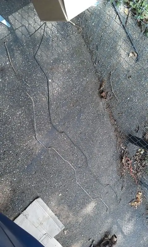 1C98D578-orig.jpg