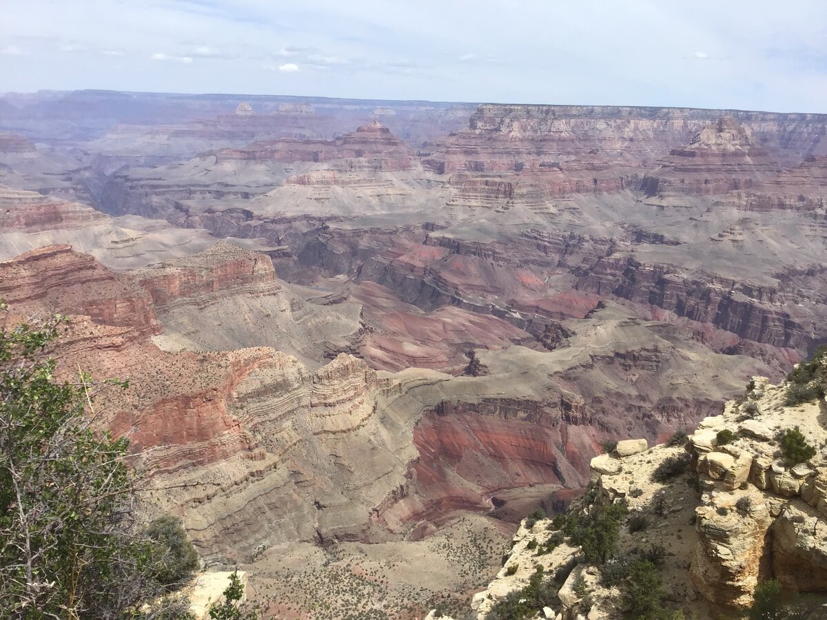 1EA9402F-BE81-4453-AEC2-6FFC83FE2FD5.jpeg