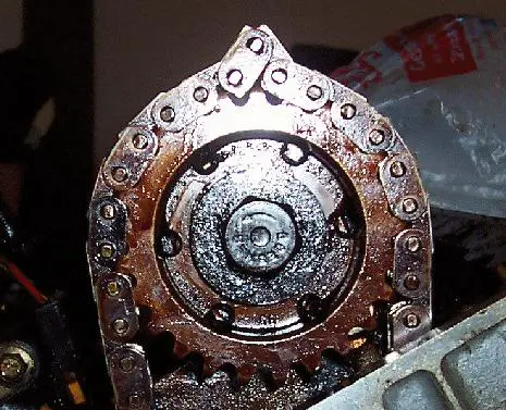 1Tooth.jpg