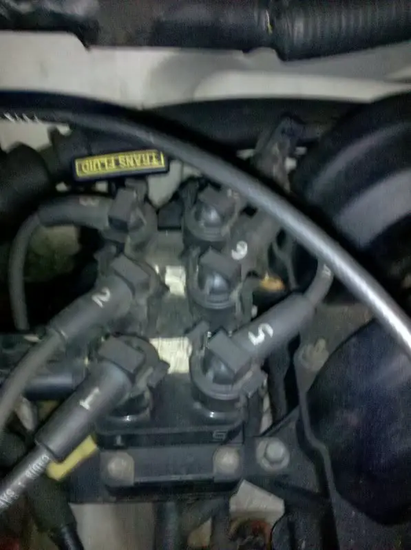 2010-01-24172459.jpg