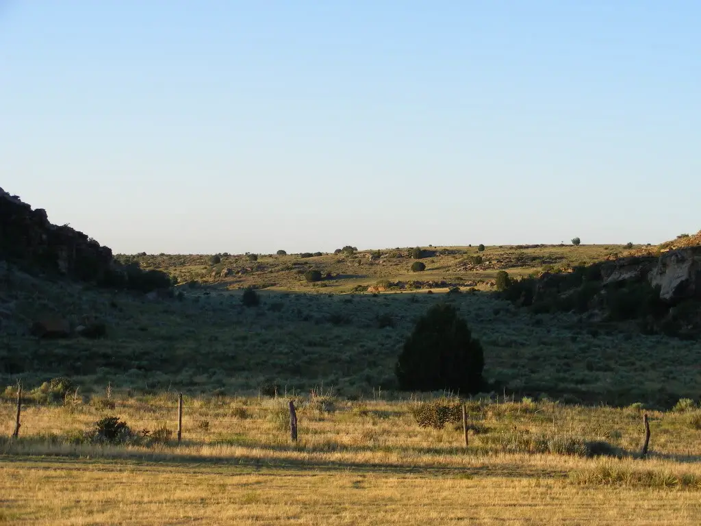 2010_0717camping0020.jpg