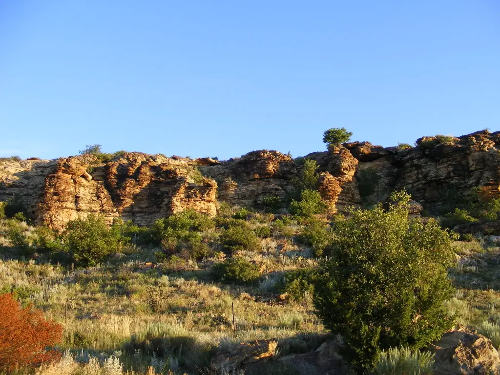 2010_0717camping0023.jpg