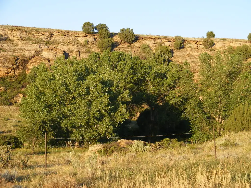 2010_0717camping0024.jpg