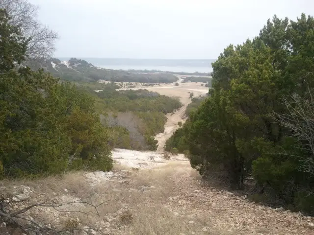 2011-01-31125007.jpg