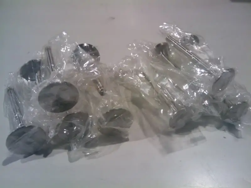 2011-02-09125411.jpg