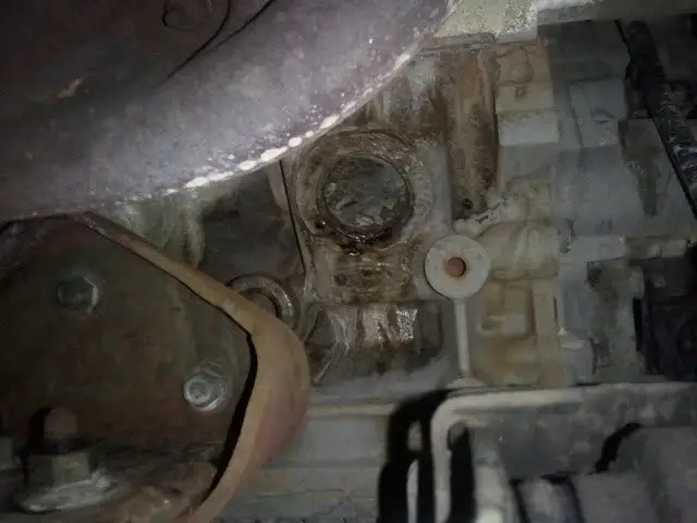 2011-02-25011319.jpg