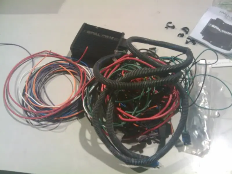 2011-03-10095514.jpg
