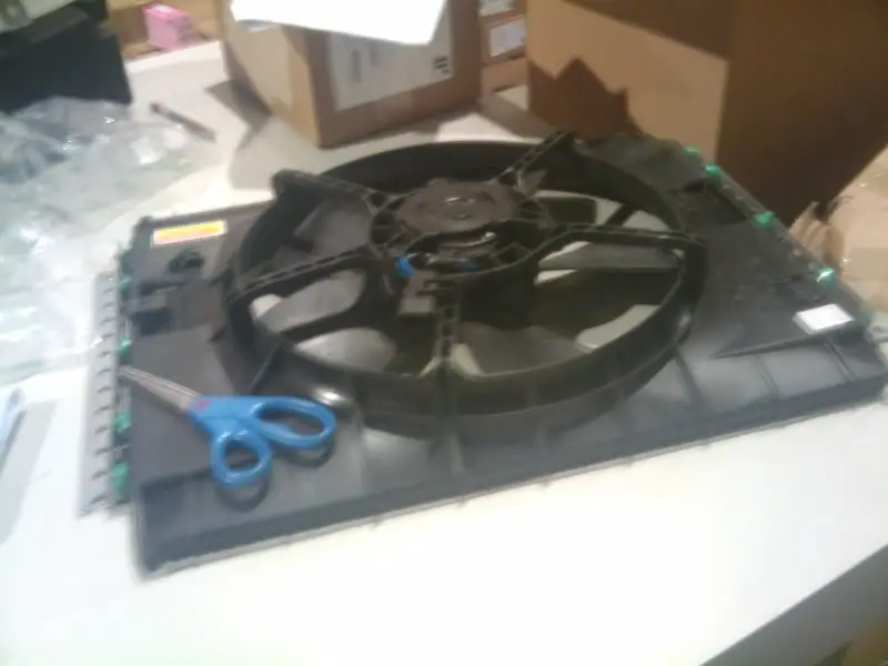 2011-03-10095612.jpg