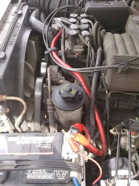 2011-04-16134250.jpg