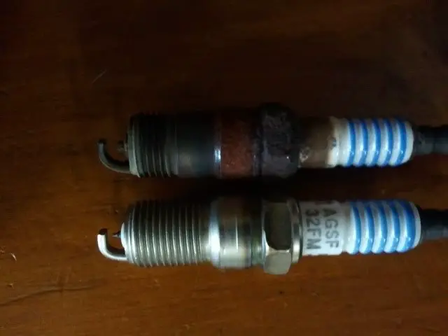 2011-06-10112550.jpg